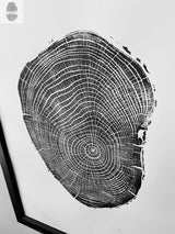 Black and white print of an ash tree cross-section showing detailed growth rings and bark texture in an 18x24 framed artwork.