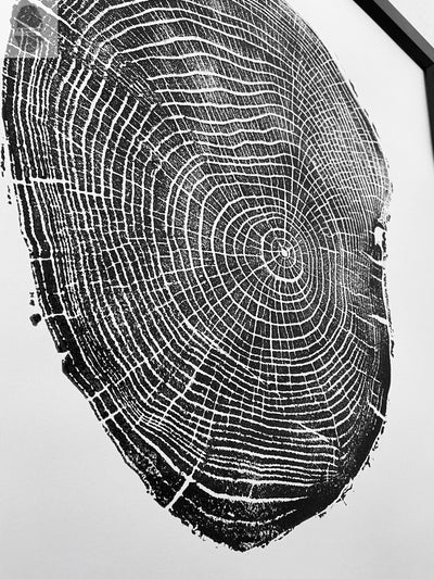 New Haven, Connecticut Ash - 18x24 print