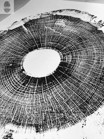 North Carolina Tree Art - Oak - 18x24 print
