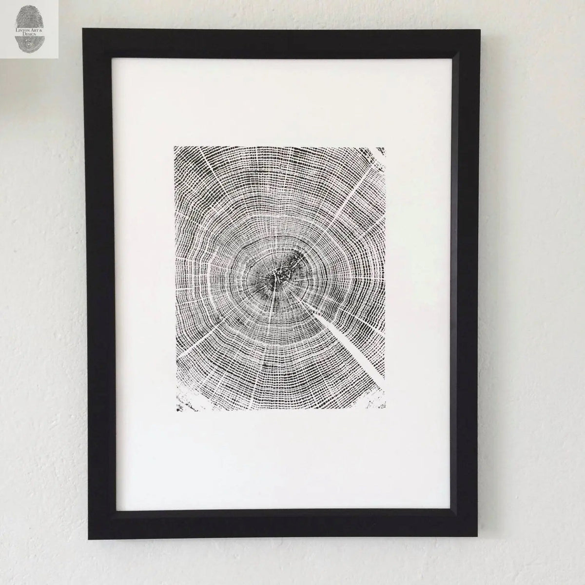Black and white detailed print of an oak tree cross-section showing tree rings, framed in a simple black frame against a white wall.
