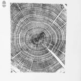 Black and white print showing detailed concentric growth rings and cracks of an oak tree cross-section, centered with clear radial splits.