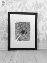 Black and white framed print of an oak tree cross-section with visible annual rings and a large irregular crack, leaning against a textured wall on a wooden floor.