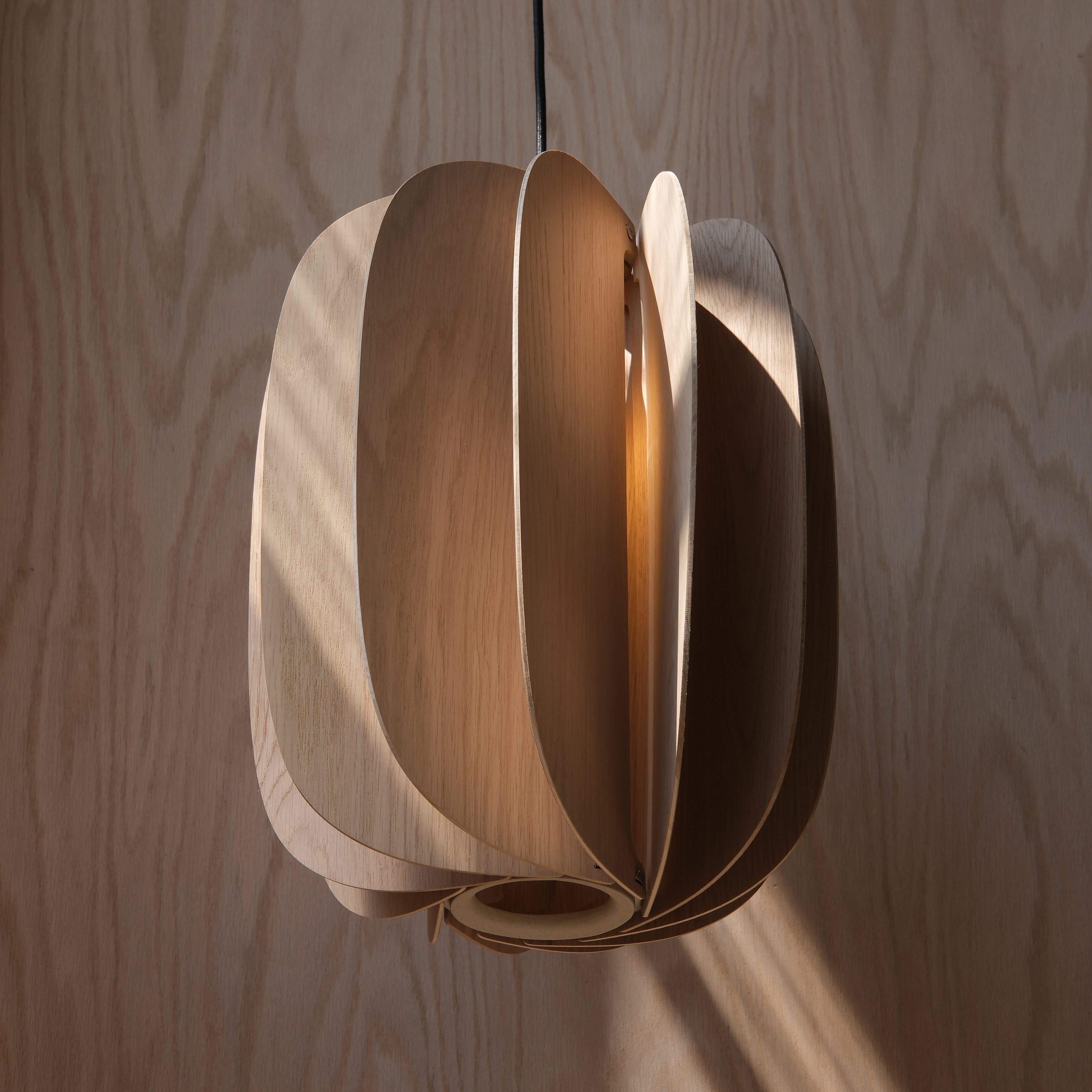 Fin III Pendant by Misewell - product image 3 for Resin Society