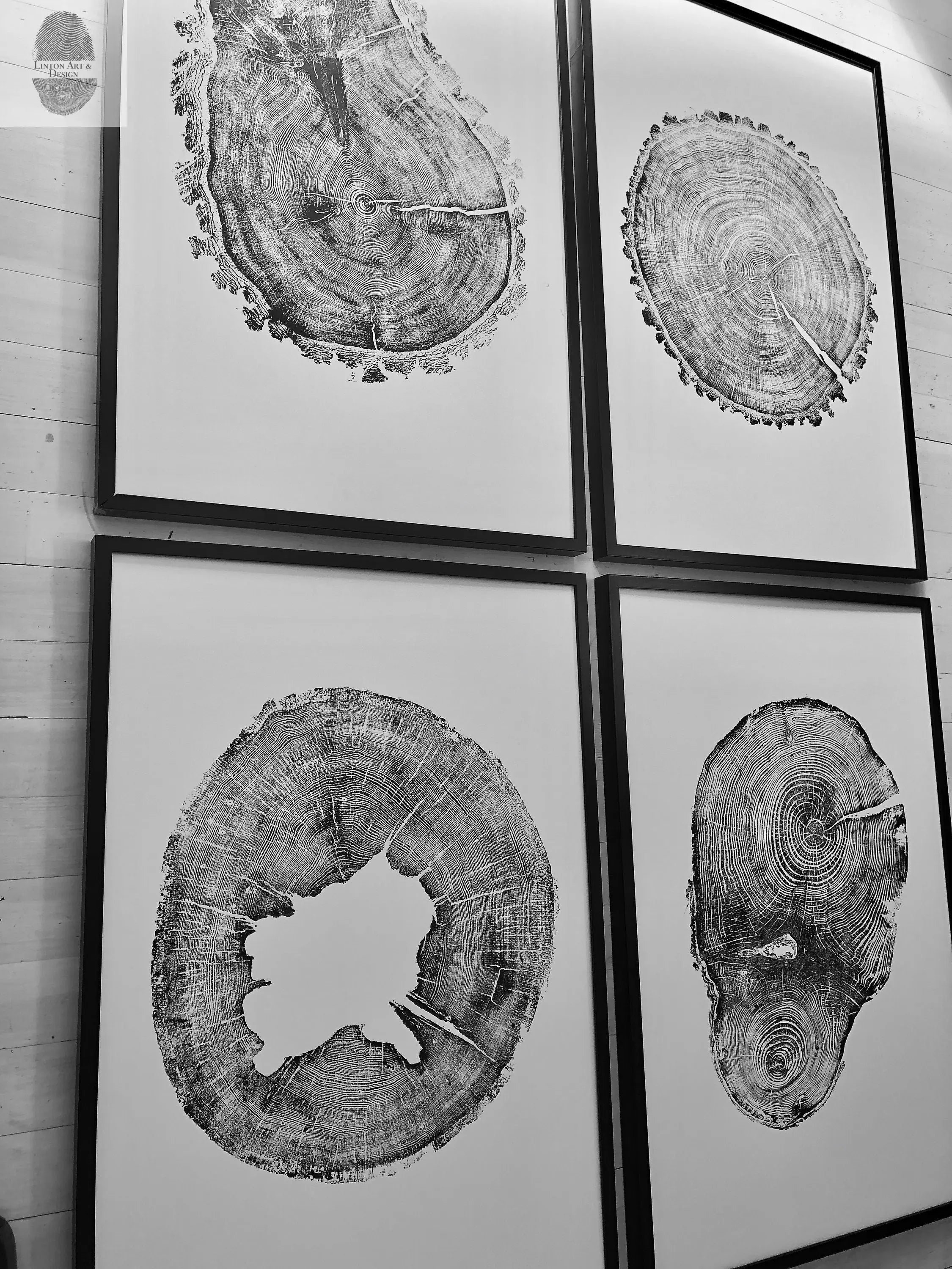 Oak, Pine, & Hemlock Set of 4 - 24x36 each print by lintonart - product image 4 for Resin Society