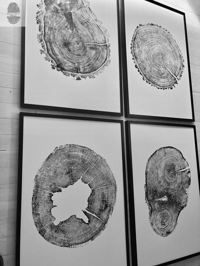 Oak, Pine, & Hemlock Set of 4 - 24x36 each print by lintonart - product image 4 for Resin Society