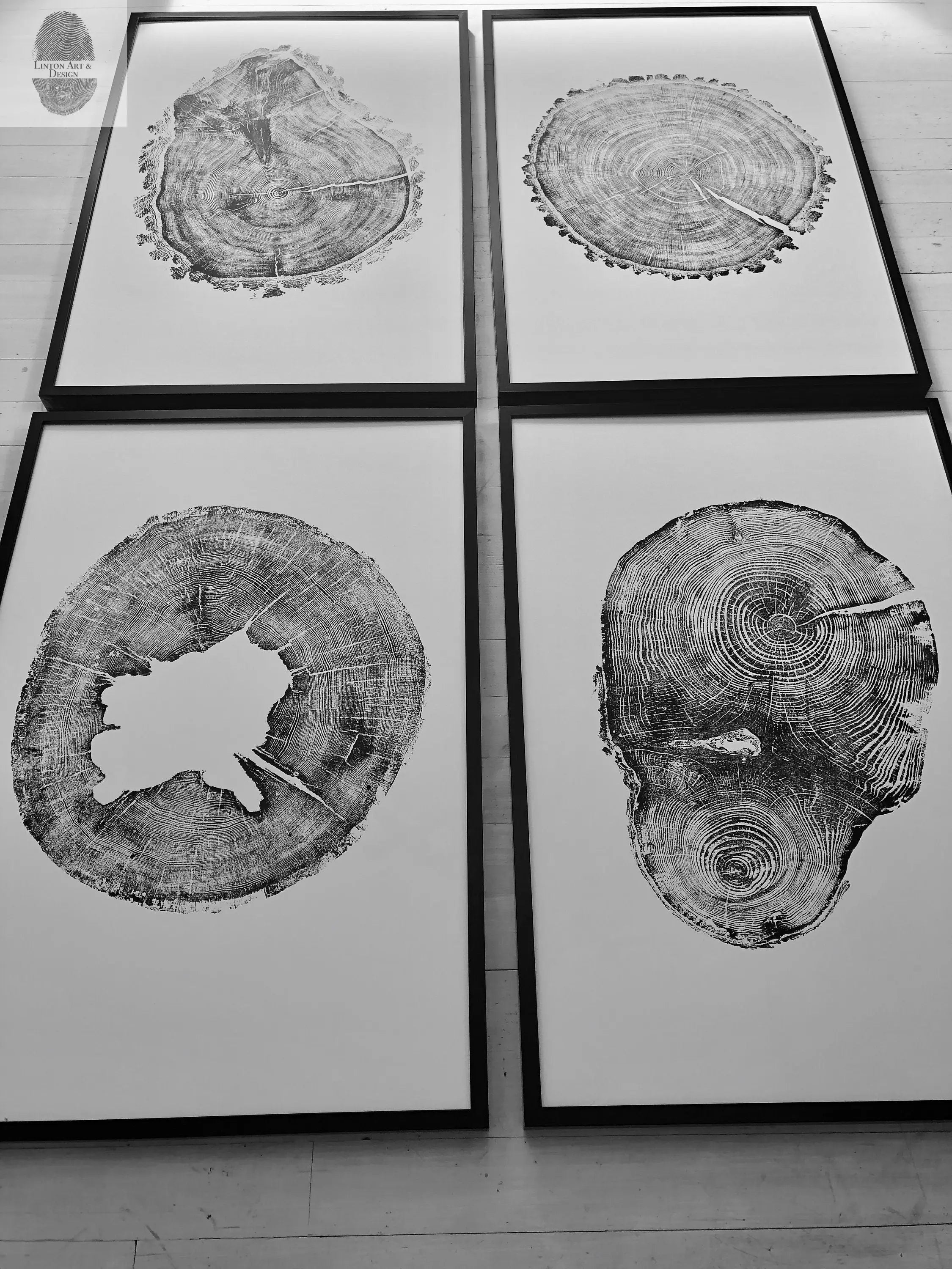 Oak, Pine, & Hemlock Set of 4 - 24x36 each print by lintonart - product image 6 for Resin Society