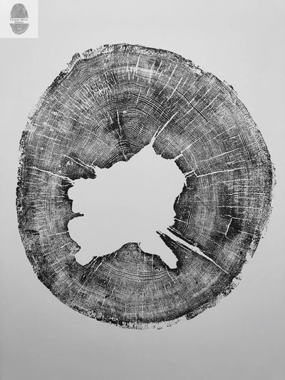 Oak, Pine, & Hemlock Set of 4 - 24x36 each print by lintonart - product image 8 for Resin Society