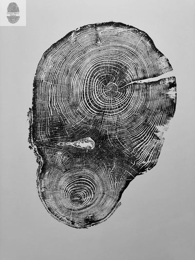 Oak, Pine, & Hemlock Set of 4 - 24x36 each print by lintonart - product image 9 for Resin Society