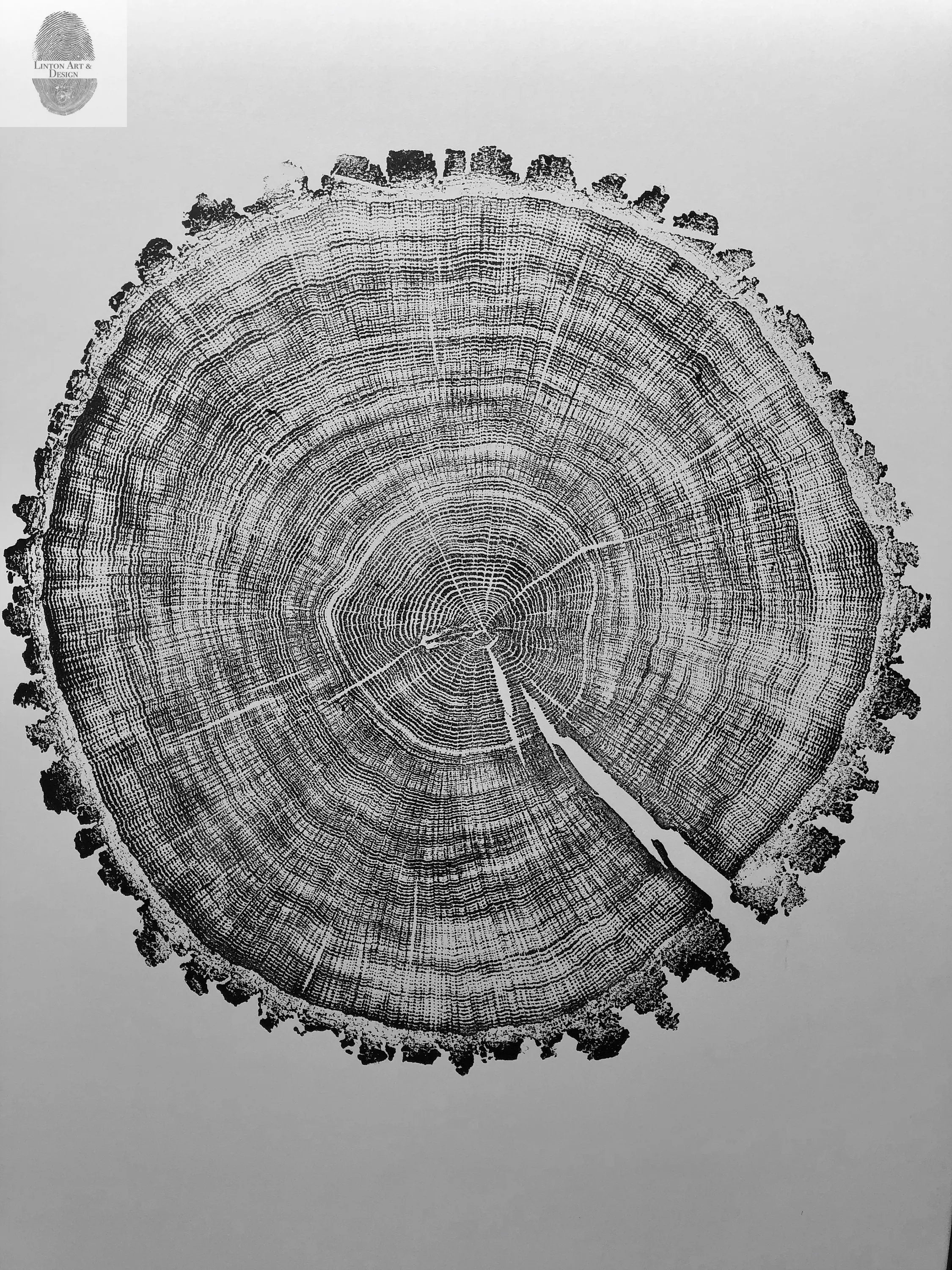 Oak, Pine, & Hemlock Set of 4 - 24x36 each print by lintonart - product image 10 for Resin Society