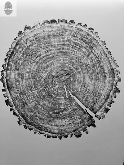 Oak, Pine, & Hemlock Set of 4 - 24x36 each print by lintonart - product image 10 for Resin Society