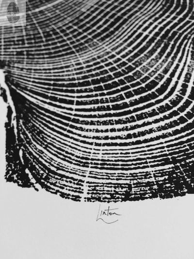 Ohio Locust tree art - 18x24 print