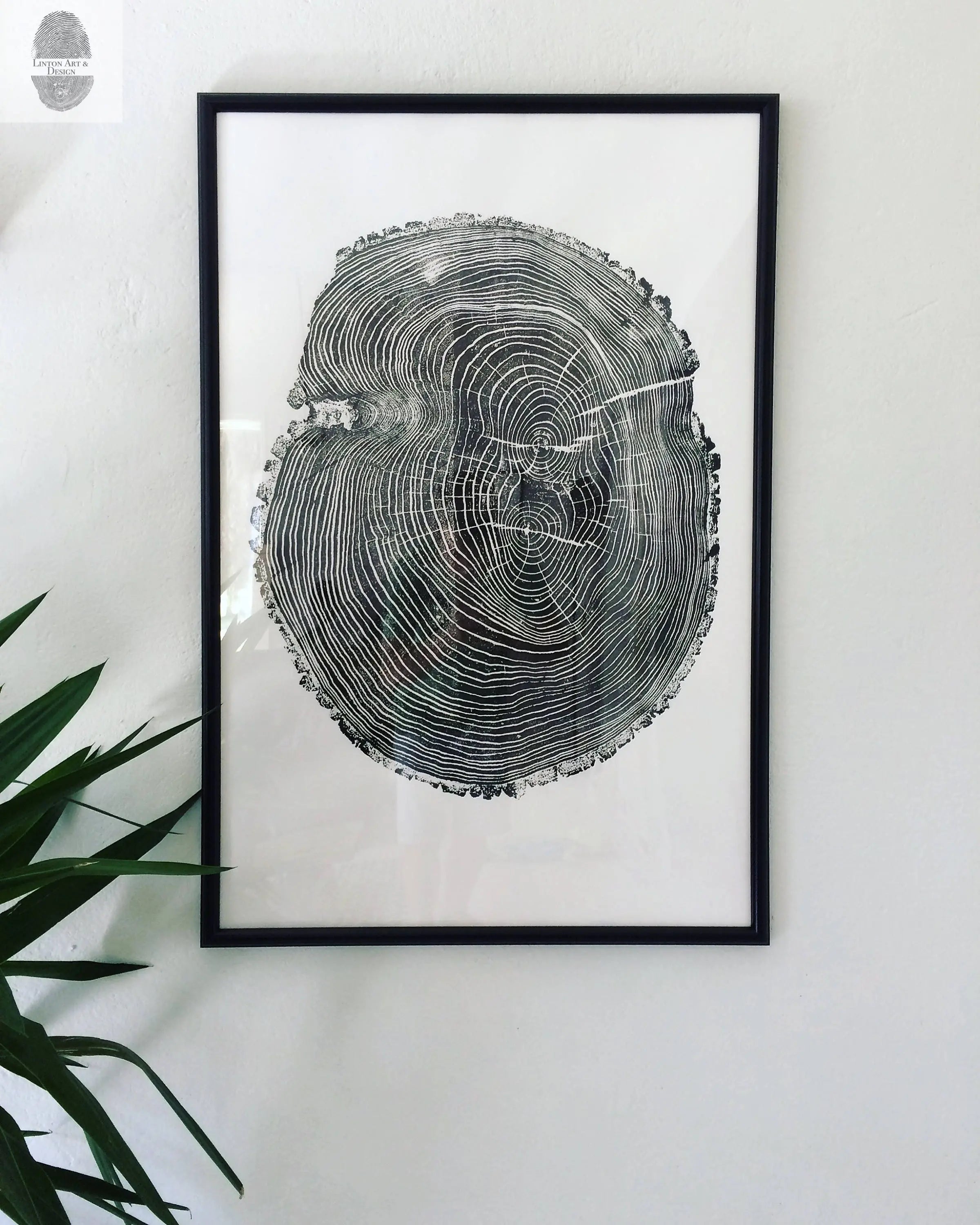 Ohio State Ash Tree Ring Print - Signed Original 24x36 Woodcut Art