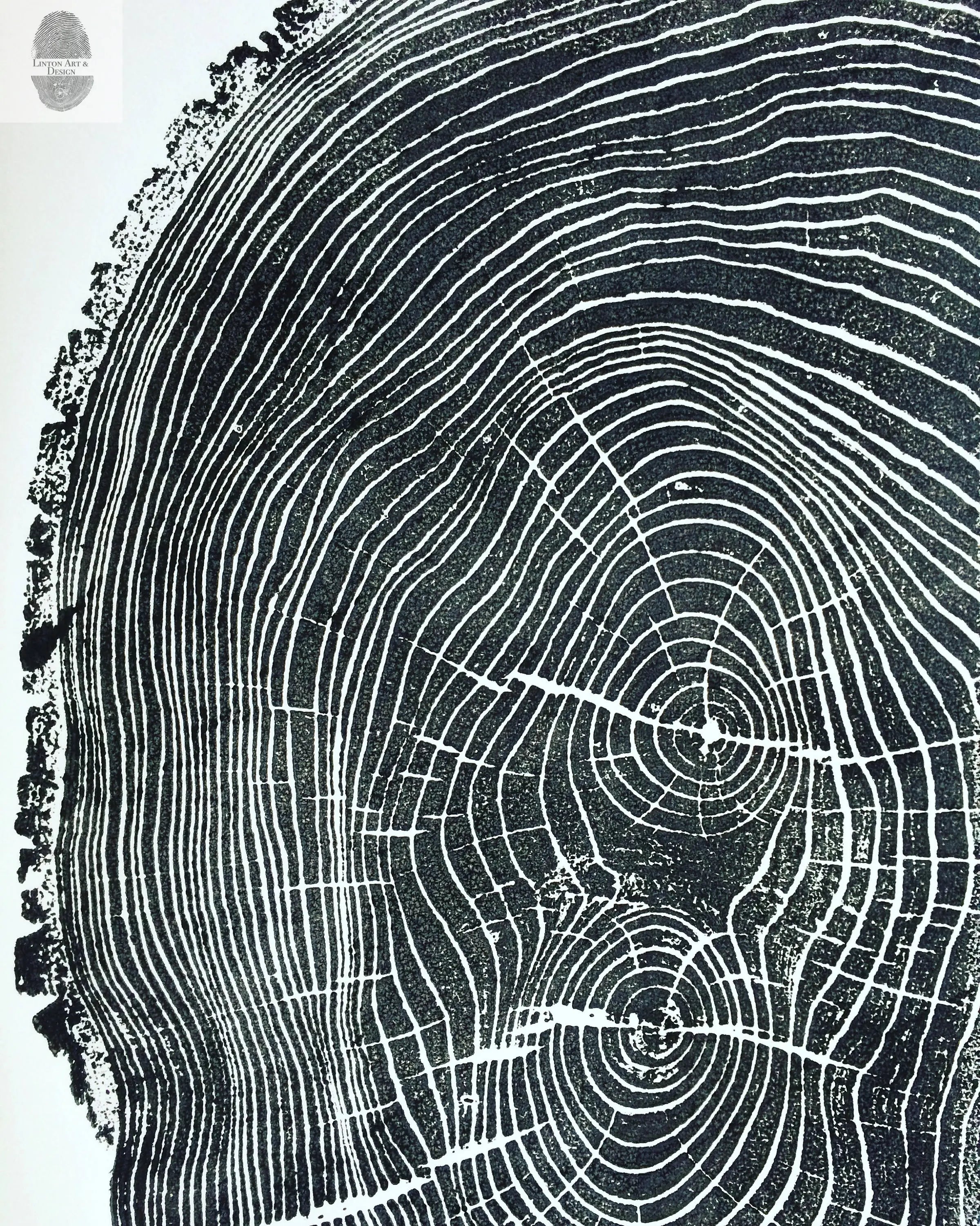 Ohio State Ash Tree Ring Print - Signed Original 24x36 Woodcut Art