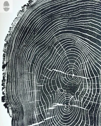 Ohio State Ash Tree Ring Print - Signed Original 24x36 Woodcut Art