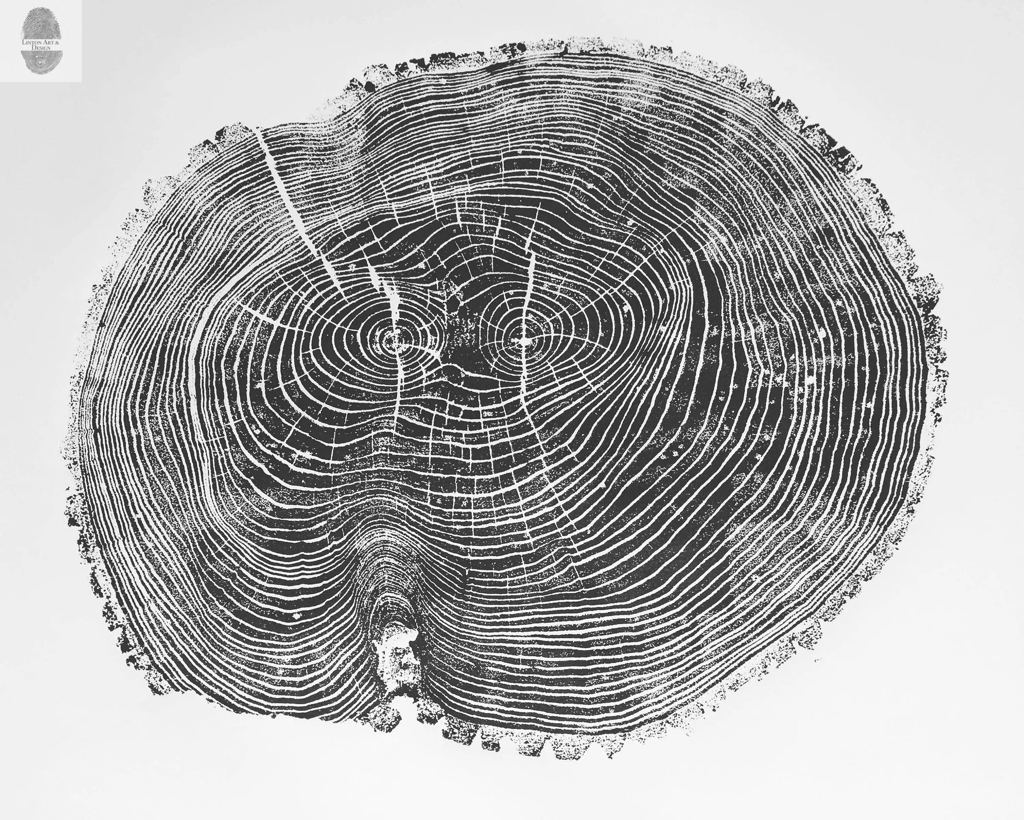 Ohio State Ash Tree Ring Print - Signed Original 24x36 Woodcut Art