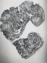 Old Growth Juniper Tree Ring Print – Boulder, Utah, 24x36 hand-printed woodcut artwork signed by artist