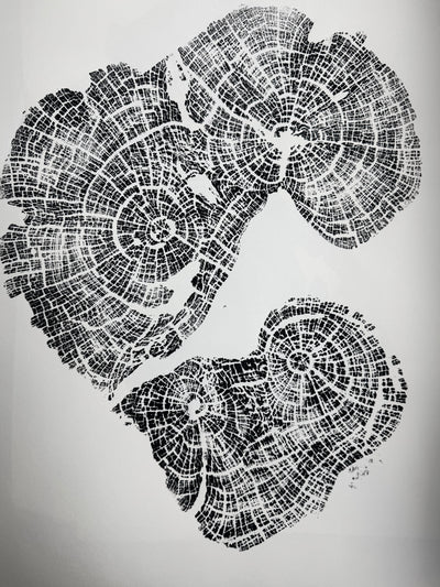 Old Growth Juniper Tree Ring Print – Boulder, Utah, 24x36 hand-printed woodcut artwork signed by artist