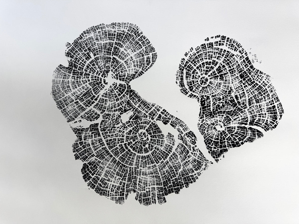 Black ink print of two old growth juniper tree rings showing detailed growth patterns and cracks on a white background.