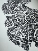 Close-up of black ink print showing detailed concentric growth rings and textured cracks of an old-growth juniper tree cross-section on white paper.