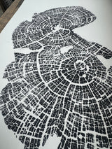 Black and white artistic print of old growth Juniper tree rings with detailed radial patterns on white paper, angled view showing textural cracks and growth layers.