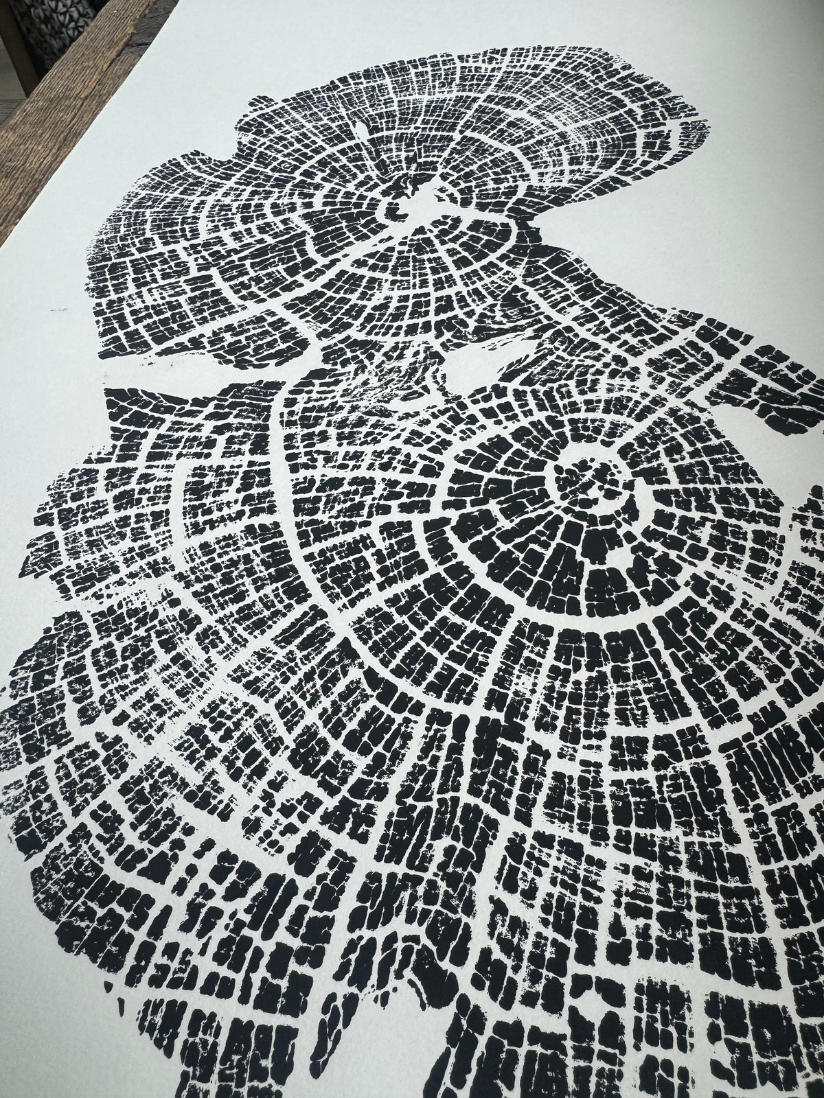 Black and white artistic print of old growth Juniper tree rings with detailed radial patterns on white paper, angled view showing textural cracks and growth layers.