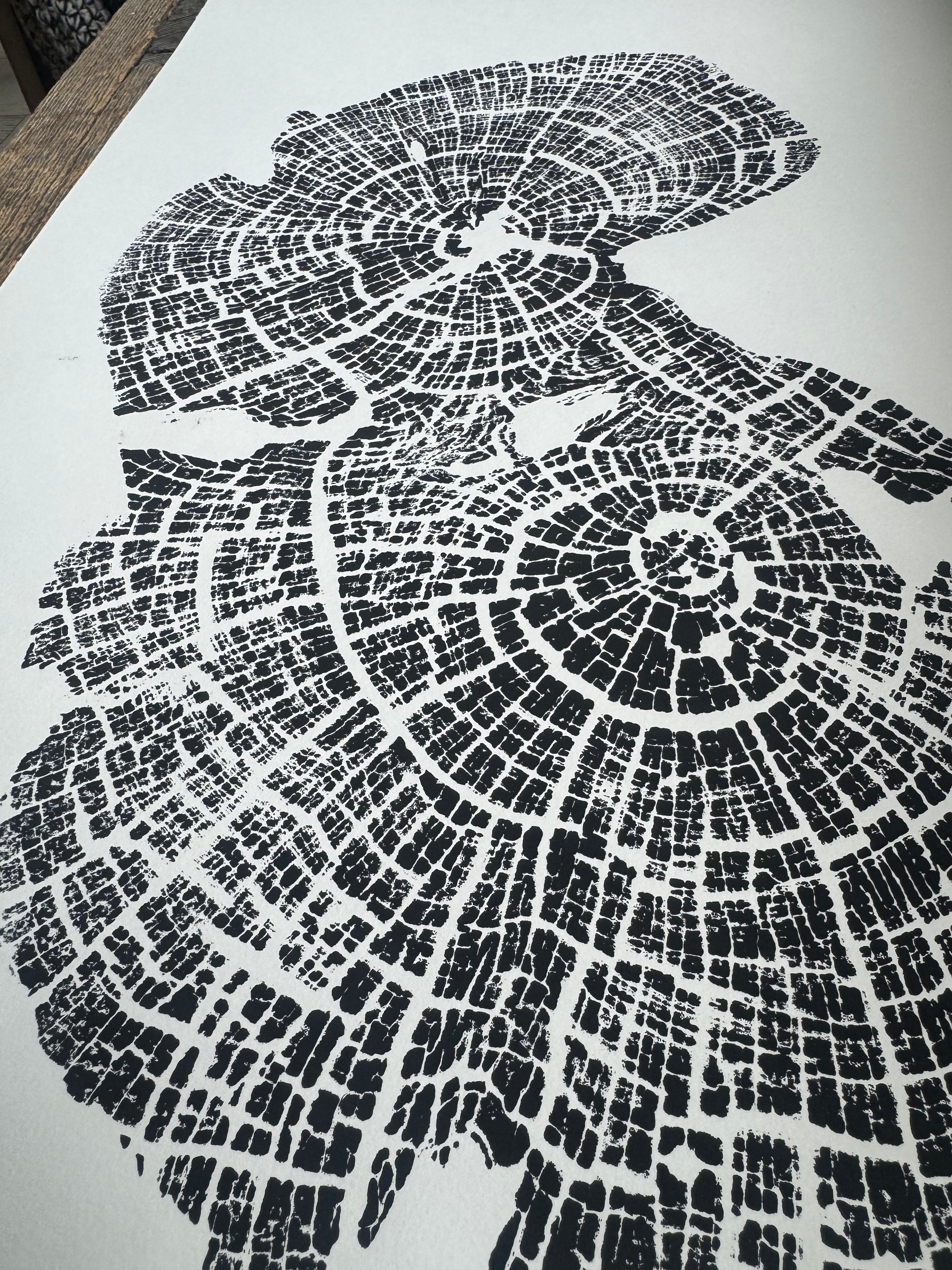 Old Growth Juniper Tree Ring Print – Boulder, Utah (Grand Staircase) – 24x36 Original Signed