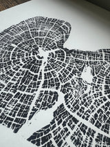 Black and white close-up print of an old growth juniper tree's detailed rings and cracks on white paper, showing intricate natural patterns and textures.