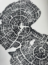 Black and white print showing detailed concentric growth rings of an old-growth juniper tree cross-section against a white background.