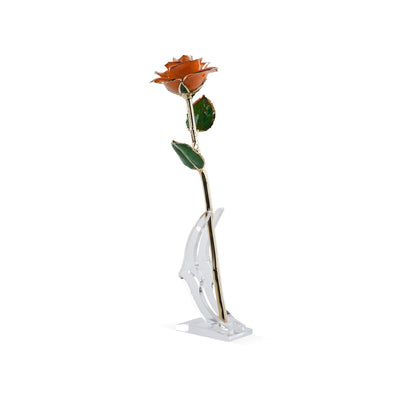 Timeless Rose (Orange) preserved real rose with 24k gold coating displayed upright on a clear stand
