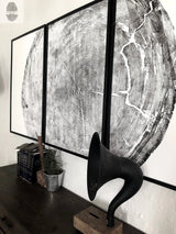 Three 24x36 inch woodcut prints of Sitka spruce tree rings, arranged horizontally, showing concentric ring patterns.