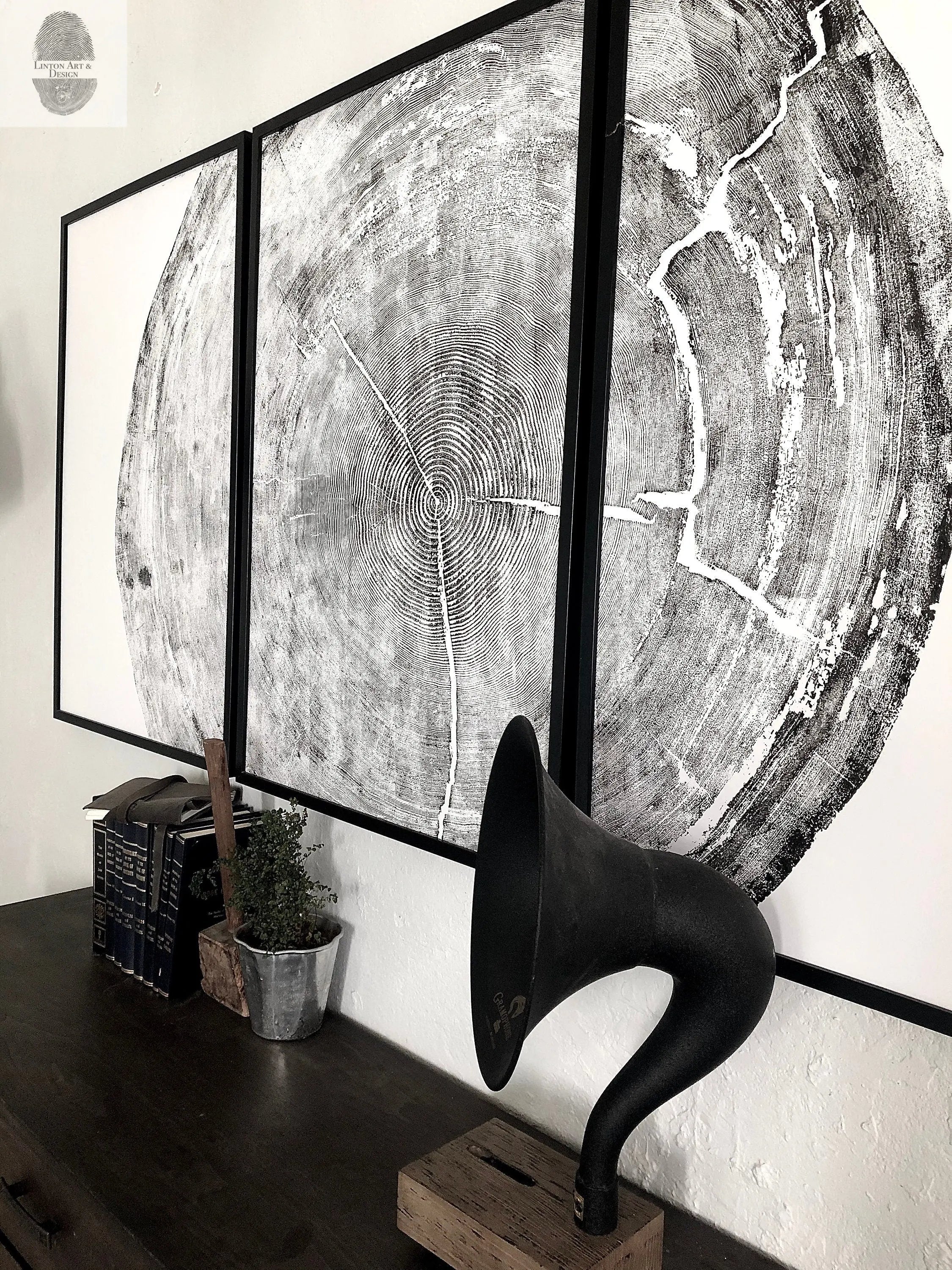 Three 24x36 inch woodcut prints of Sitka spruce tree rings, arranged horizontally, showing concentric ring patterns.