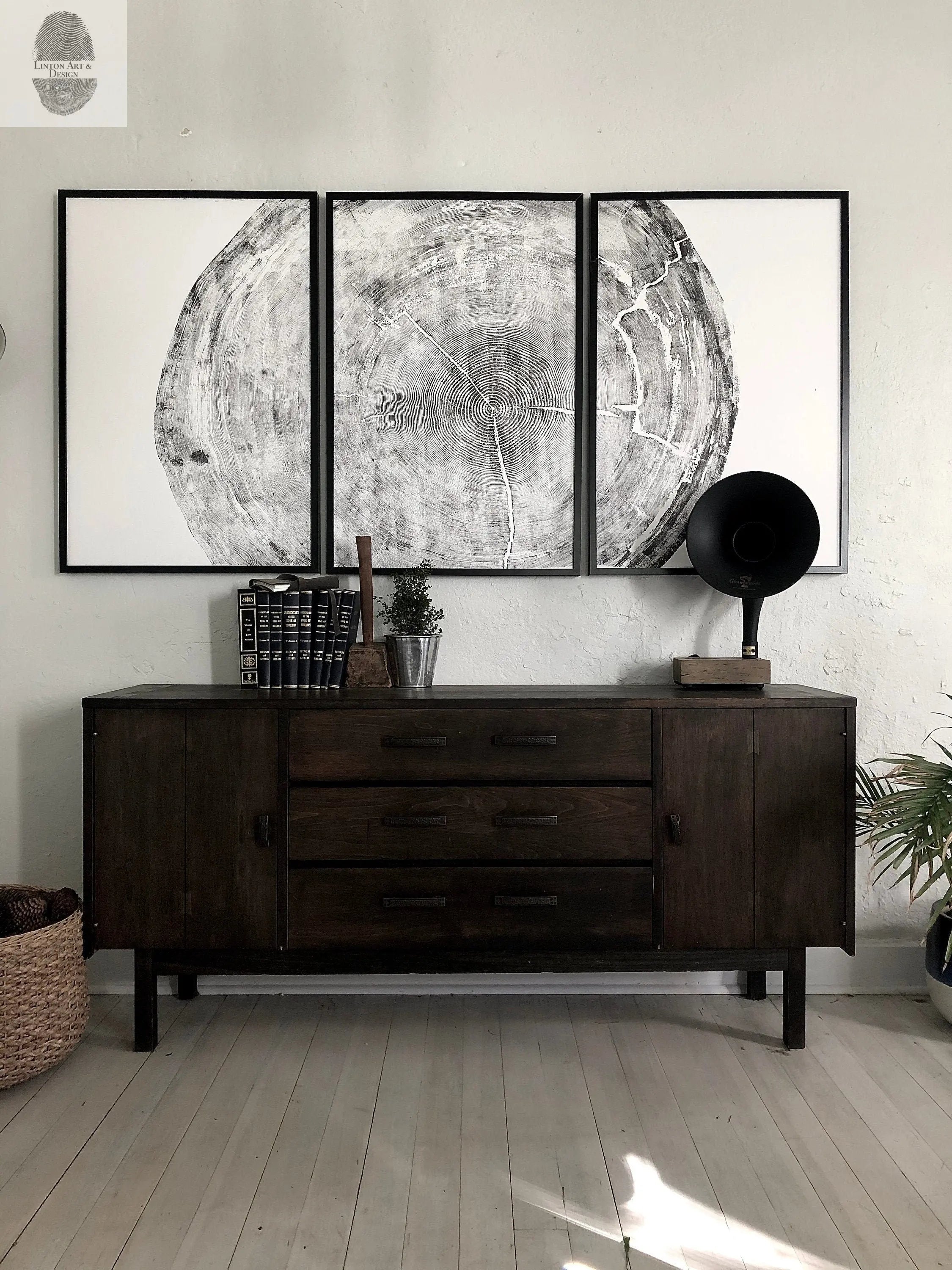 372-Year-Old Sitka Spruce Tree Ring Print Set, 3× 24×36″ Woodcut Art, Oregon Coast Nature Wall Art