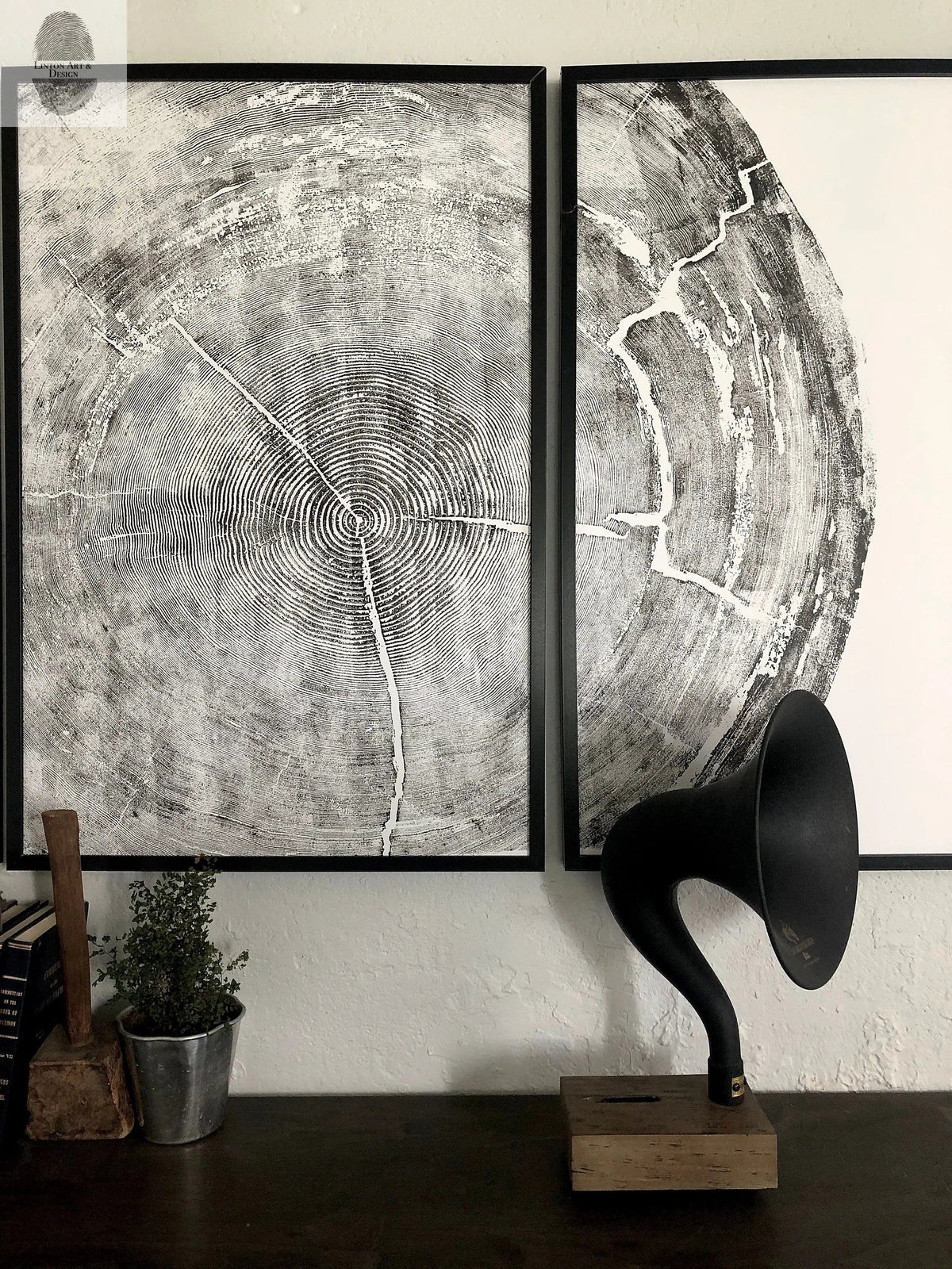 Two framed black-and-white woodcut prints showing close-ups of Sitka spruce tree rings, displayed above a dark wood shelf with a small potted plant and black gramophone horn on a wooden base.