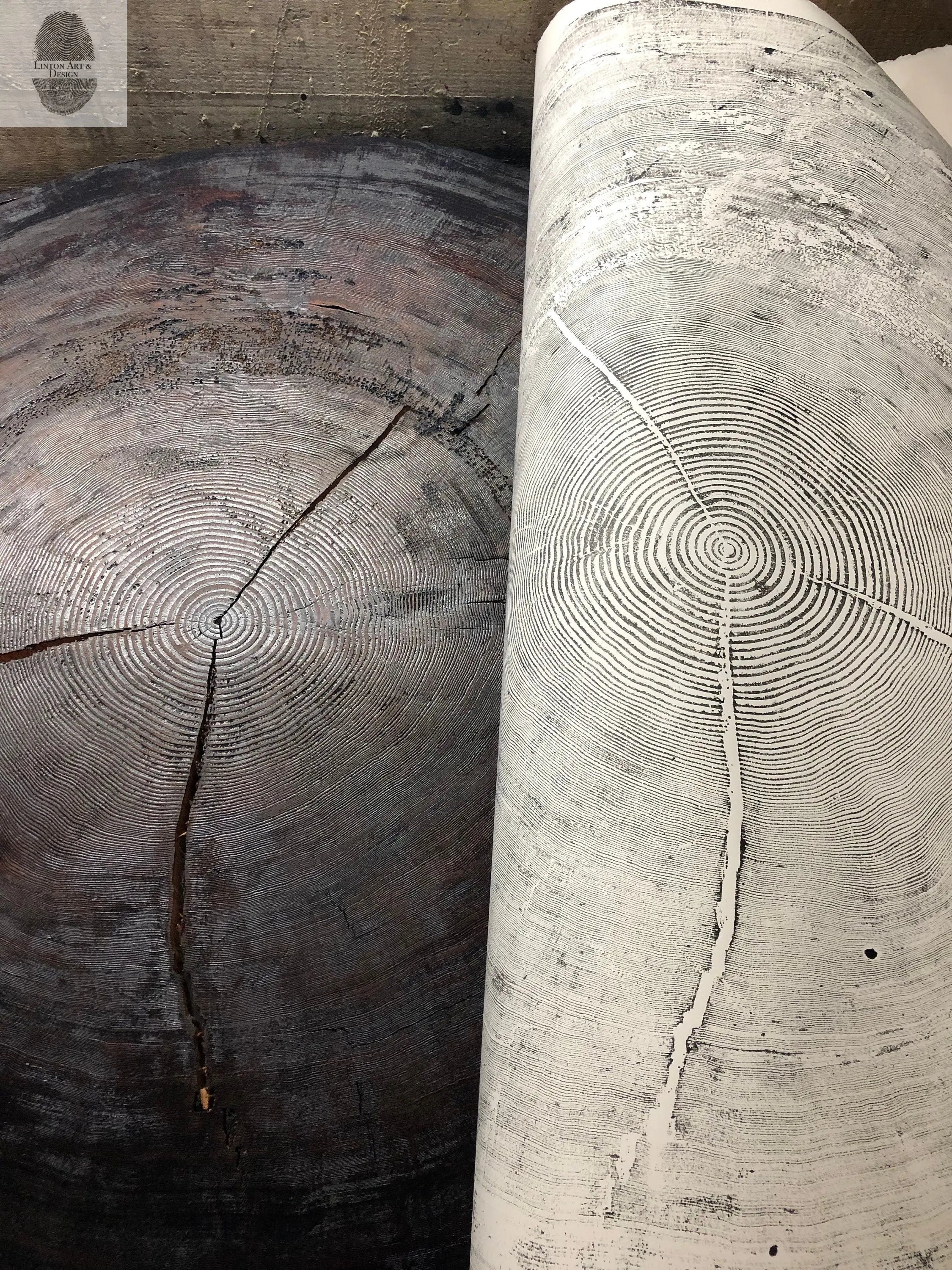 372-Year-Old Sitka Spruce Tree Ring Print Set, 3× 24×36″ Woodcut Art, Oregon Coast Nature Wall Art