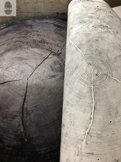372-Year-Old Sitka Spruce Tree Ring Print Set, 3× 24×36″ Woodcut Art, Oregon Coast Nature Wall Art