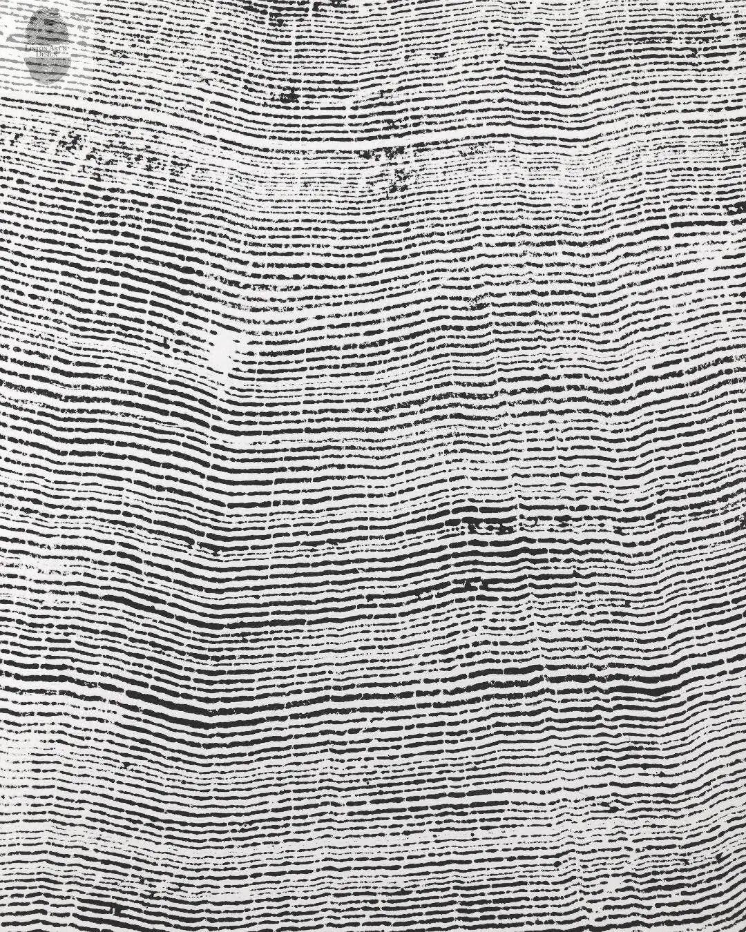 372-Year-Old Sitka Spruce Tree Ring Print Set, 3× 24×36″ Woodcut Art, Oregon Coast Nature Wall Art