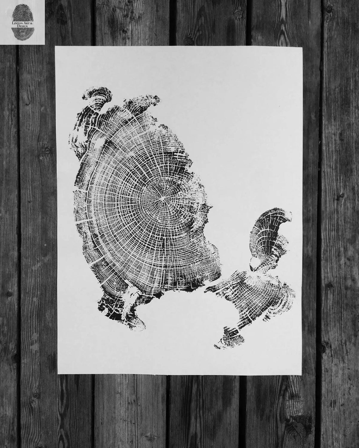 Black ink print of a weathered tree ring cross-section with irregular bark edges on white paper, placed on dark wooden floorboards.