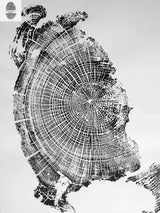 Black and white detailed woodcut print of a tree cross-section showing annual rings and textured bark edges, centered on a plain white background.