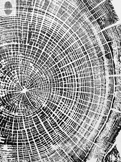Oregon Coast, Cannon Beach, Driftwood Wall Art, Tree Ring Print, Cascade Mountains, Woodcut Art