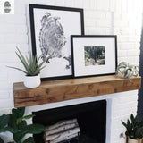 Black-framed tree ring print and desert agave photograph displayed on a thick natural wood mantel against a white brick wall, flanked by potted succulents.