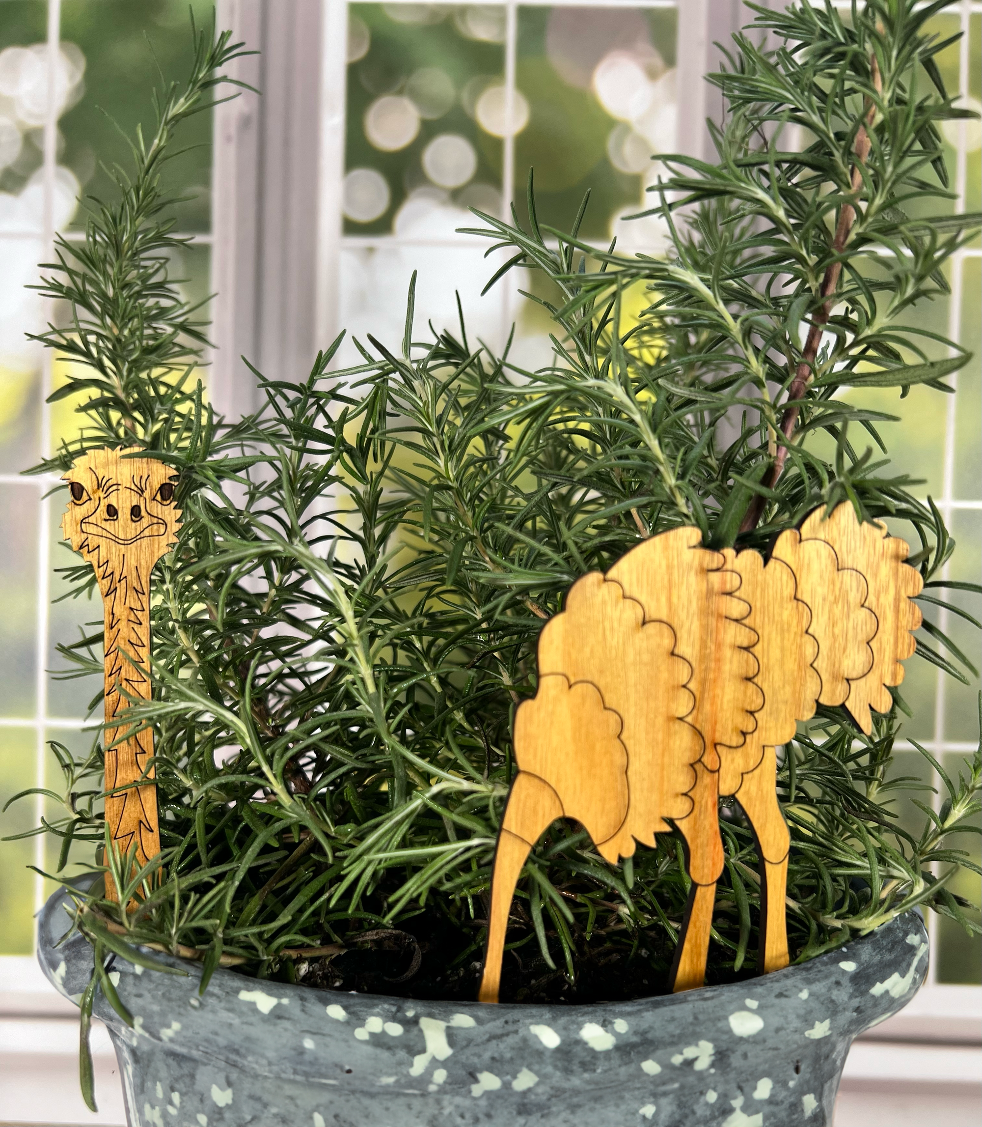Ostrich Plant Buddy - Plant Pick (2pcs) by Artspeak Studio - Resin Society