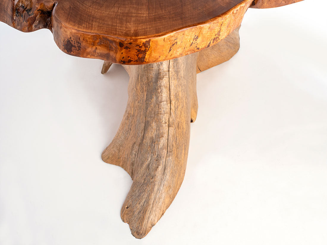 Silver Maple w/ Northern White Cedar Stump by Enrico Bartolini - product image 3 for Resin Society