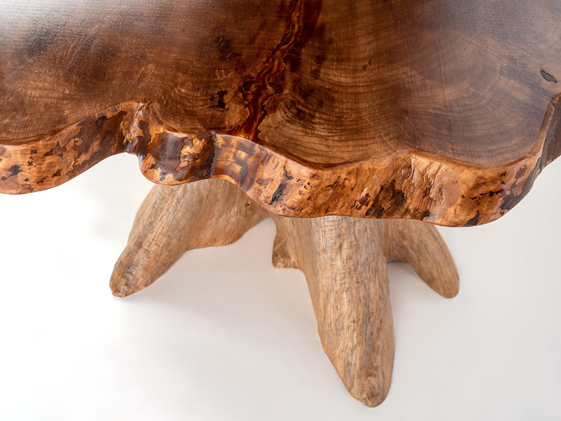 Silver Maple w/ Northern White Cedar Stump by Enrico Bartolini - product image 2 for Resin Society