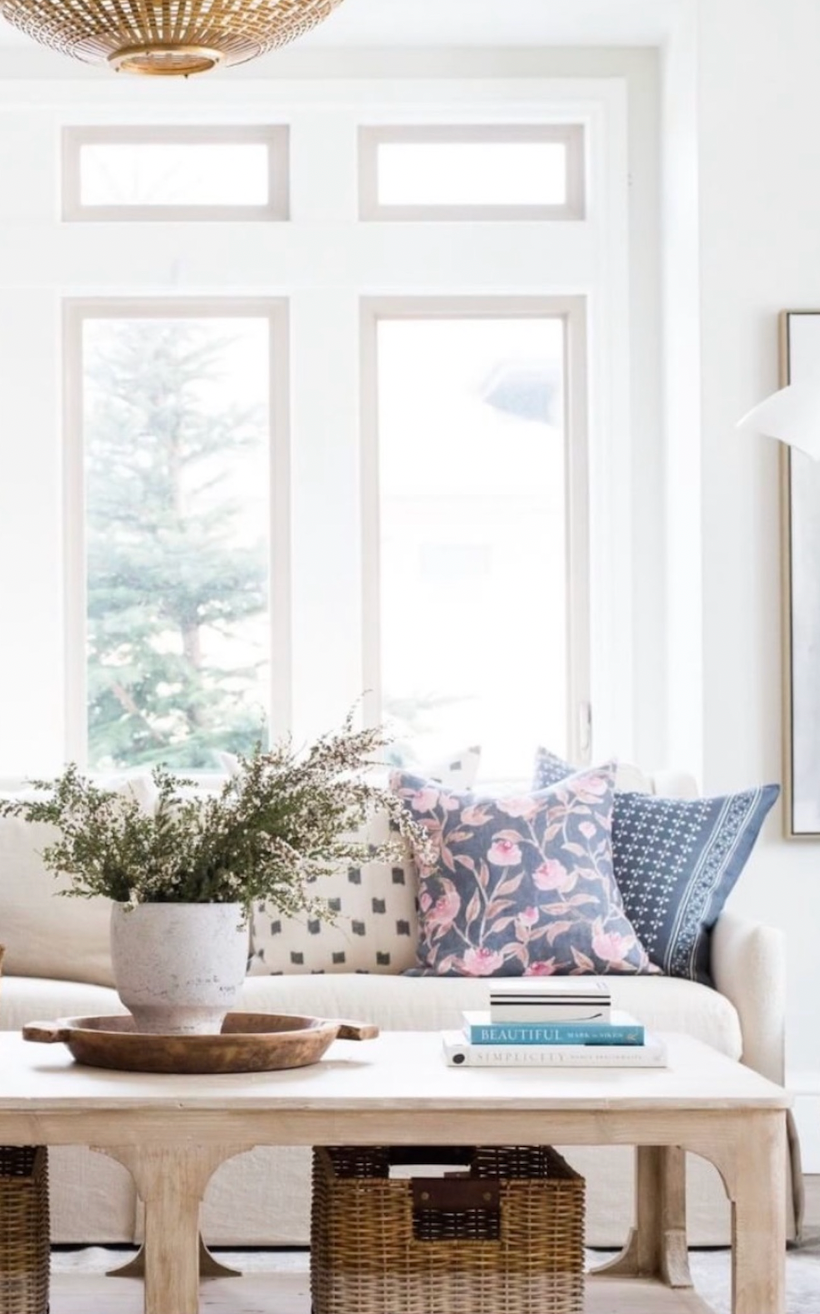 Light-colored sofa with three patterned pillows in soft neutrals and blues, a wooden coffee table with a clay pot holding green foliage in a bright living room.