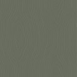 PreStain Color