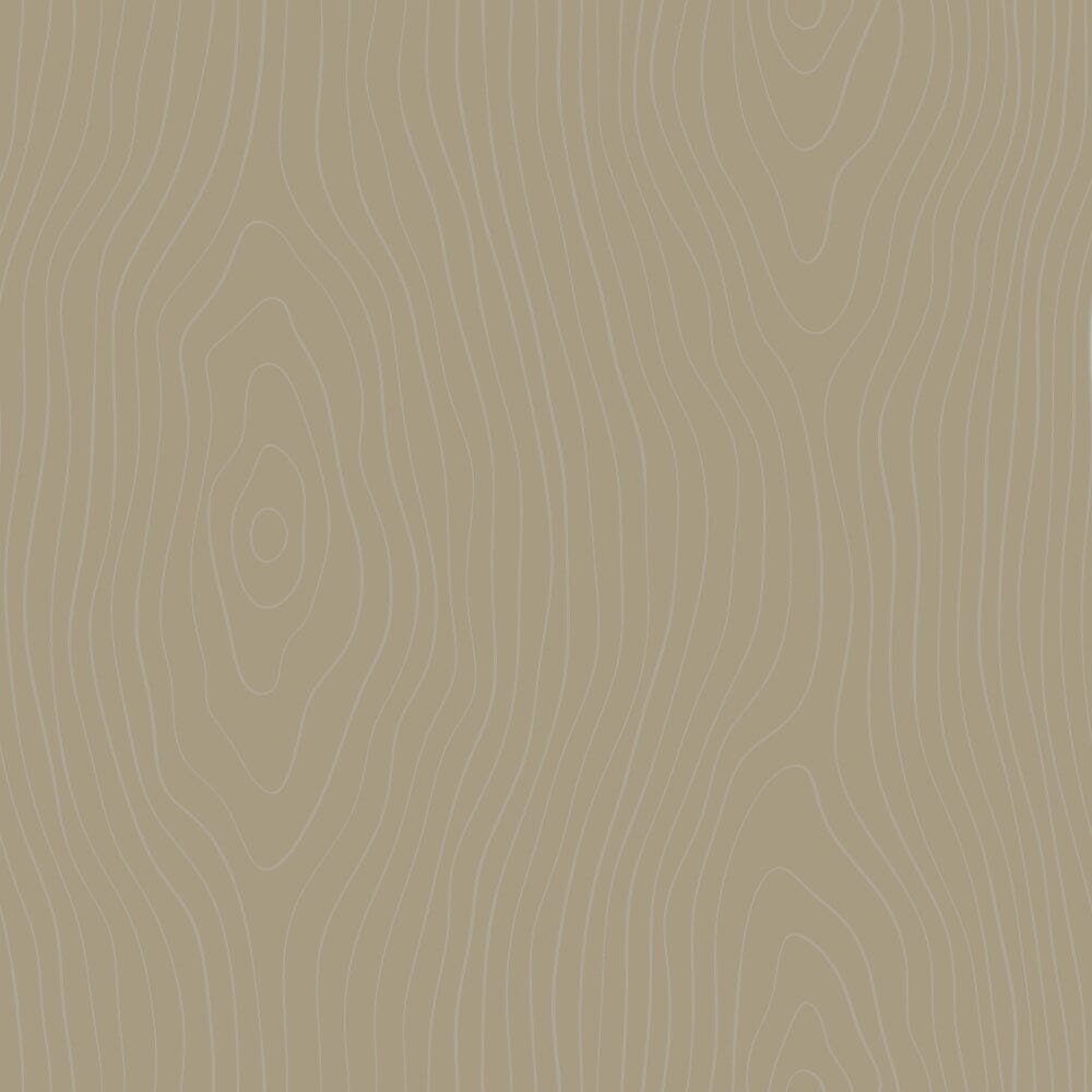 PreStain Color
