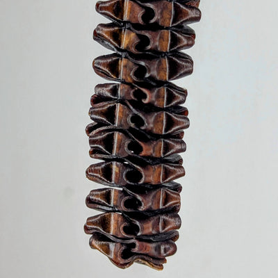 Turbinae by Versiliy - product image 2 for Resin Society
