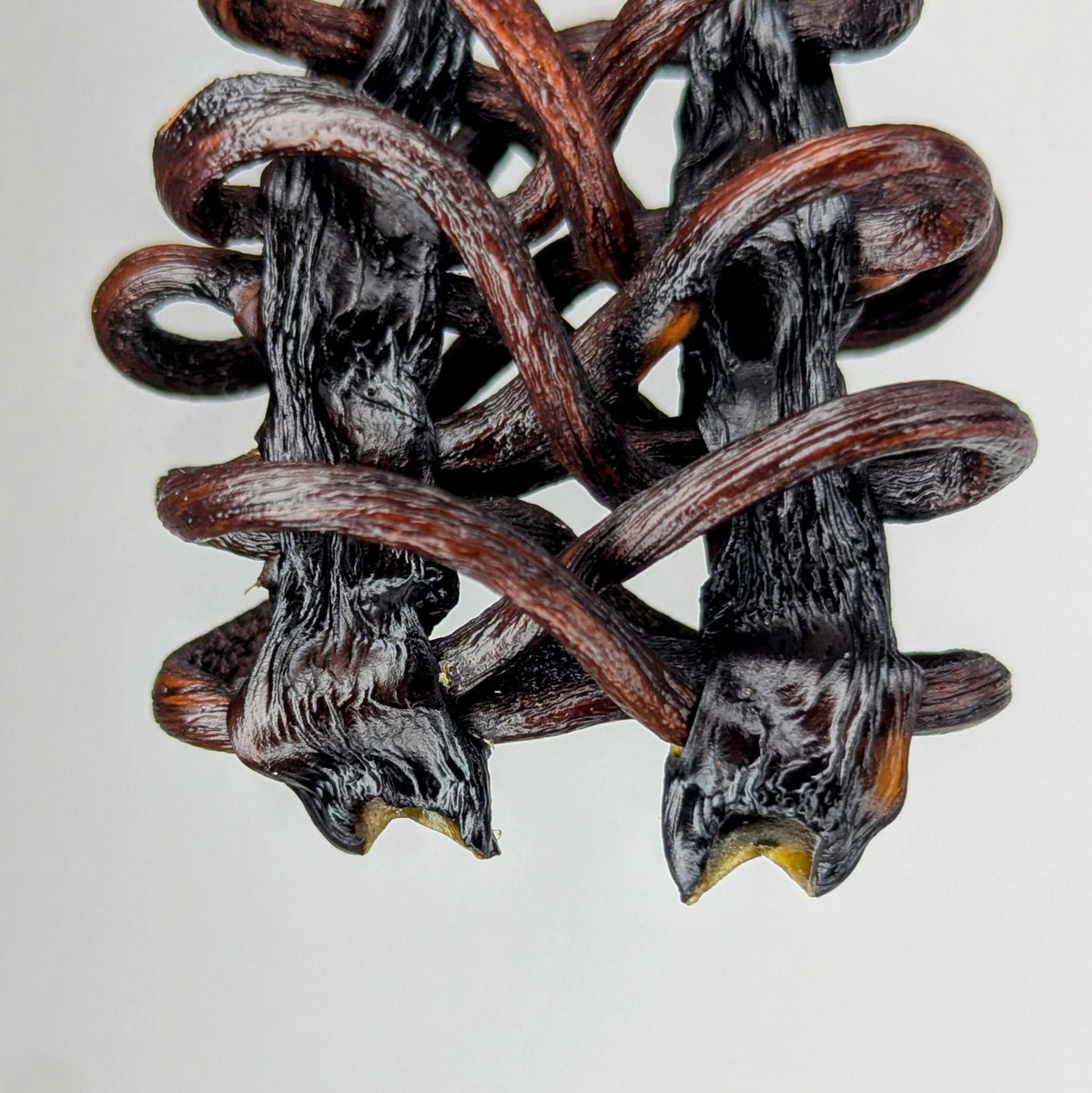 Fucaris by Versiliy - product image 2 for Resin Society