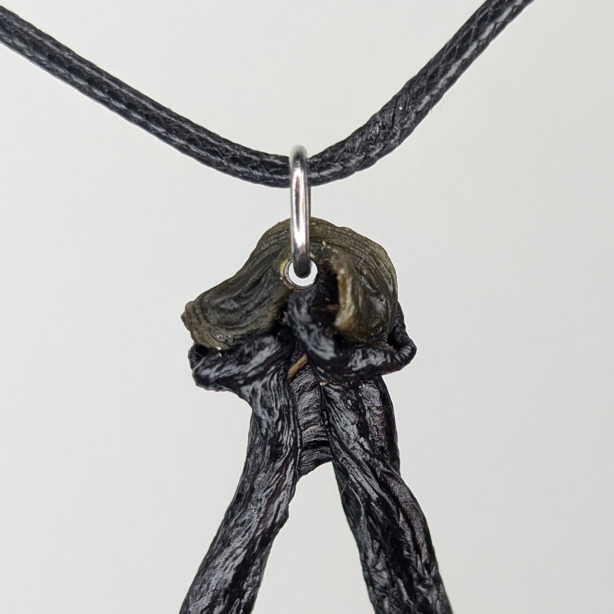 Fucaris by Versiliy - product image 3 for Resin Society