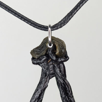 Fucaris by Versiliy - product image 3 for Resin Society